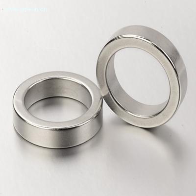 NdFeB magnet-Ring type